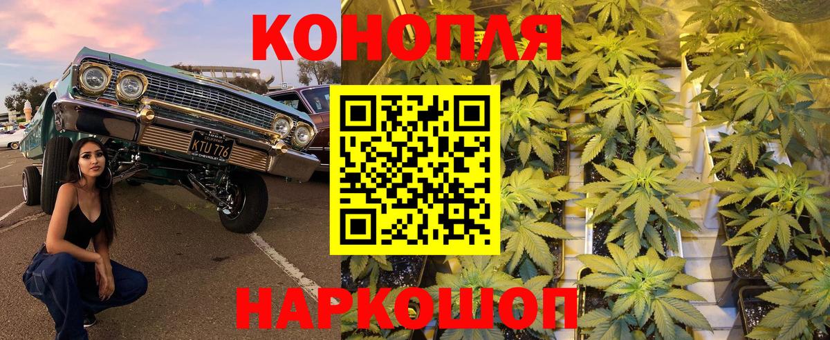 Бошки Шишки конопля  Марихуана Bruce Banner  Вход с VPN  Марихуана ГИДРОПОН  Луга 